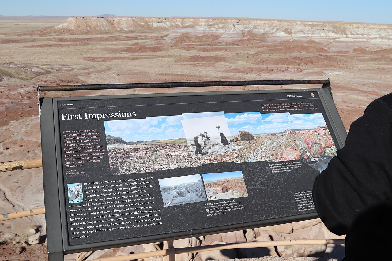 A photograph of Viewpoint