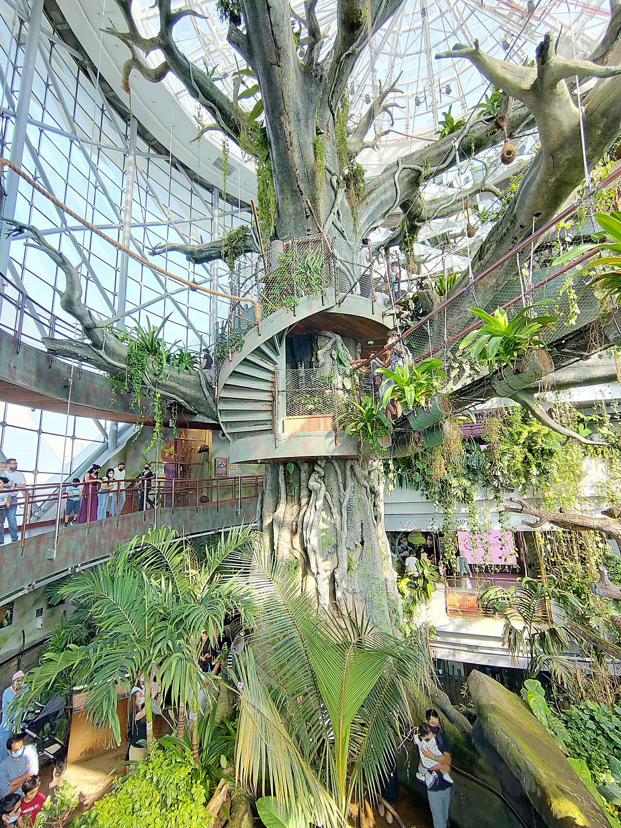 The Green Planet의 사진