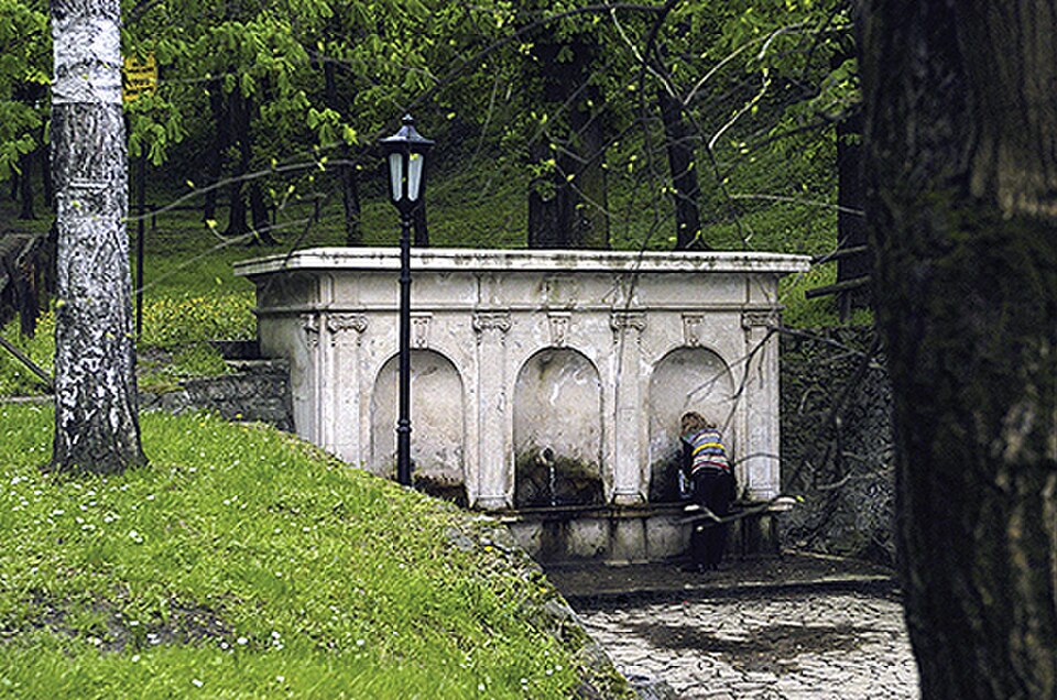A photograph of Šuma hrasta lužnjaka i graba kod Hajdučke česme