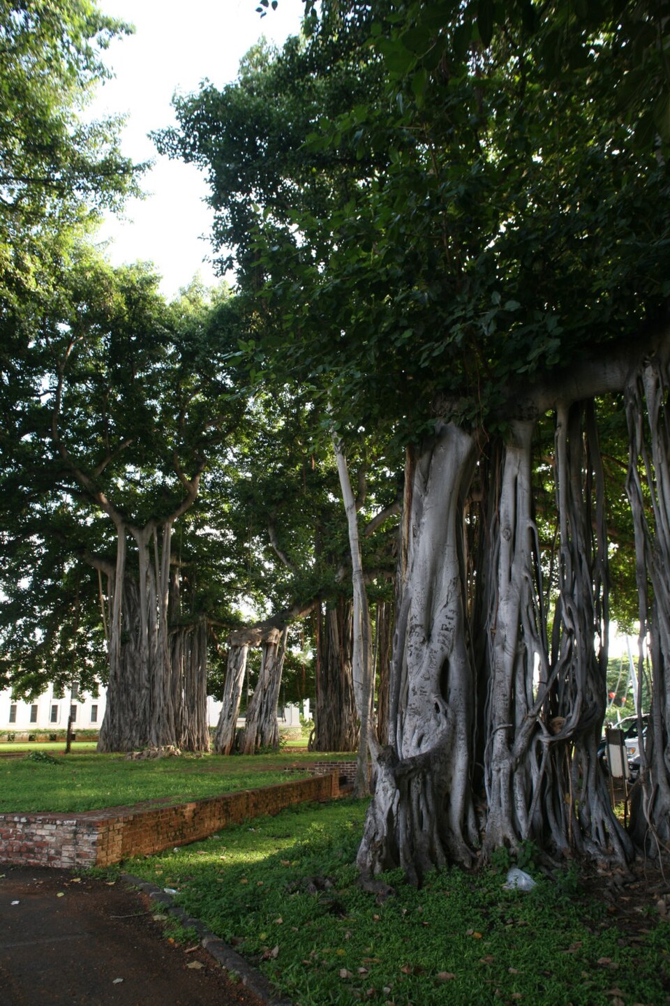 A photograph of ʻIolani Palace