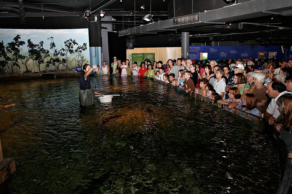 A photograph of Melbourne Aquarium