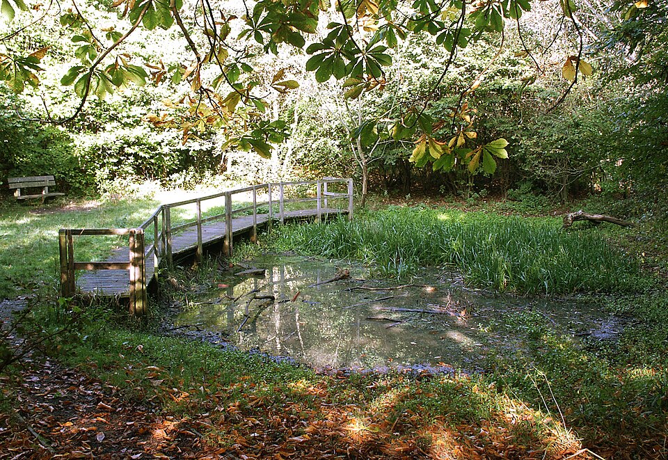 Highfield Country Park