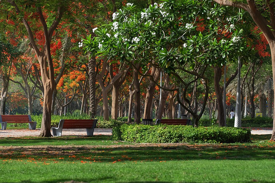 A photograph of Zabeel Park