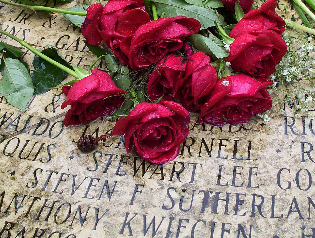 AIDS Memorial Grove의 사진