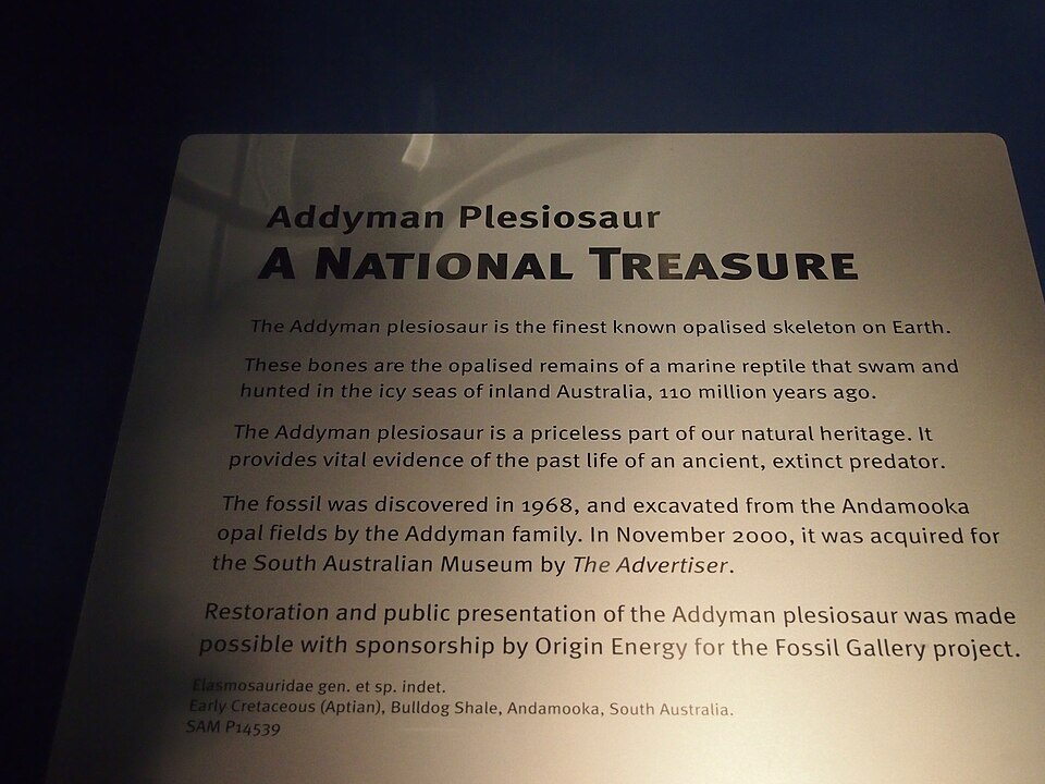 A photograph of South Australian Museum