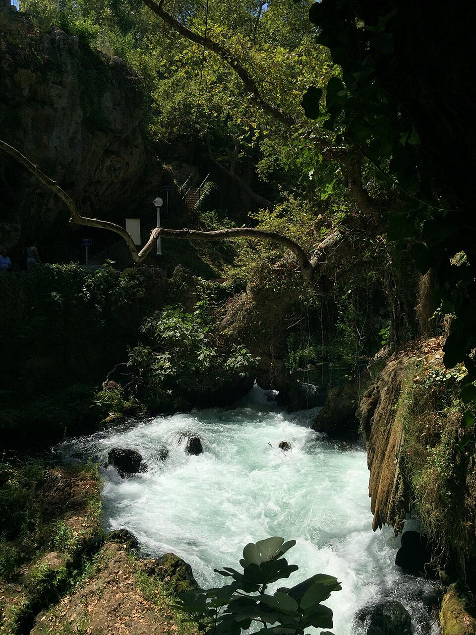 A photograph of Kurşunlu Şelalesi