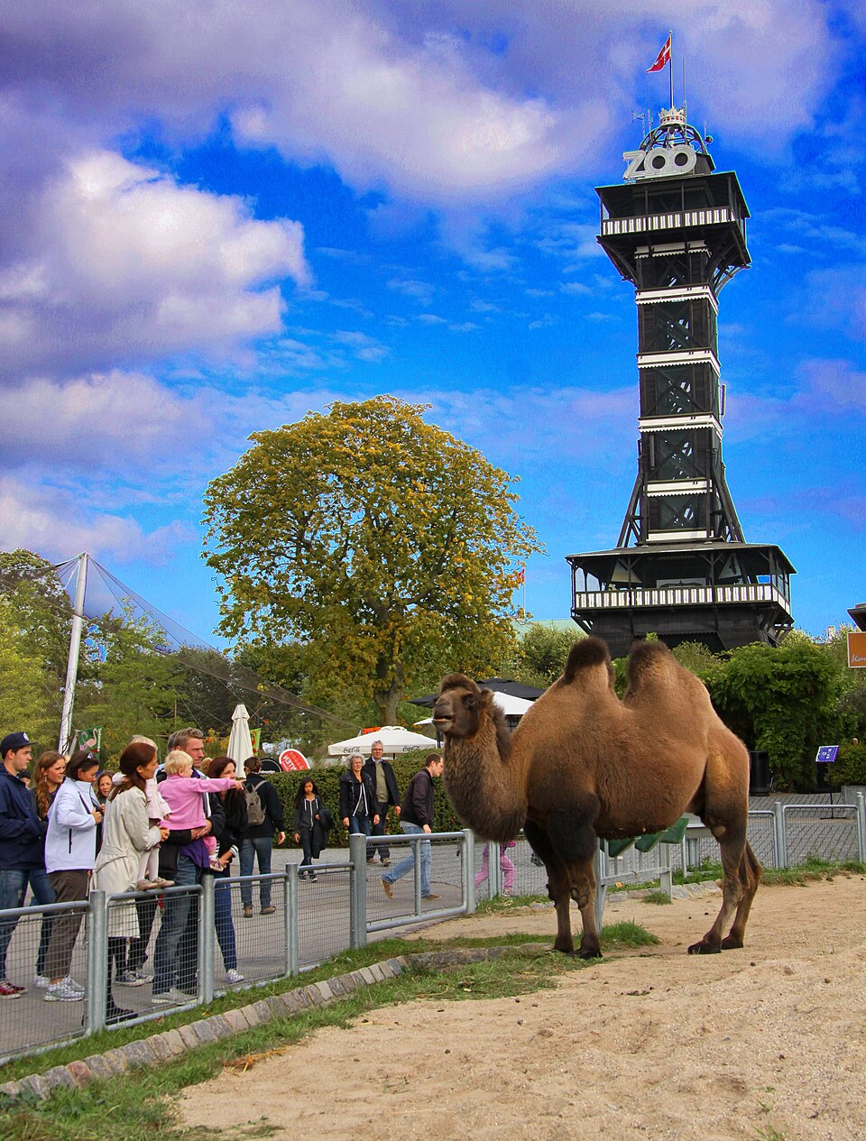 A photograph of Copenhagen Zoo