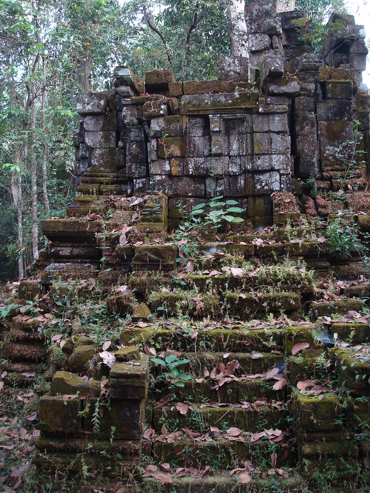Mangalartha의 사진