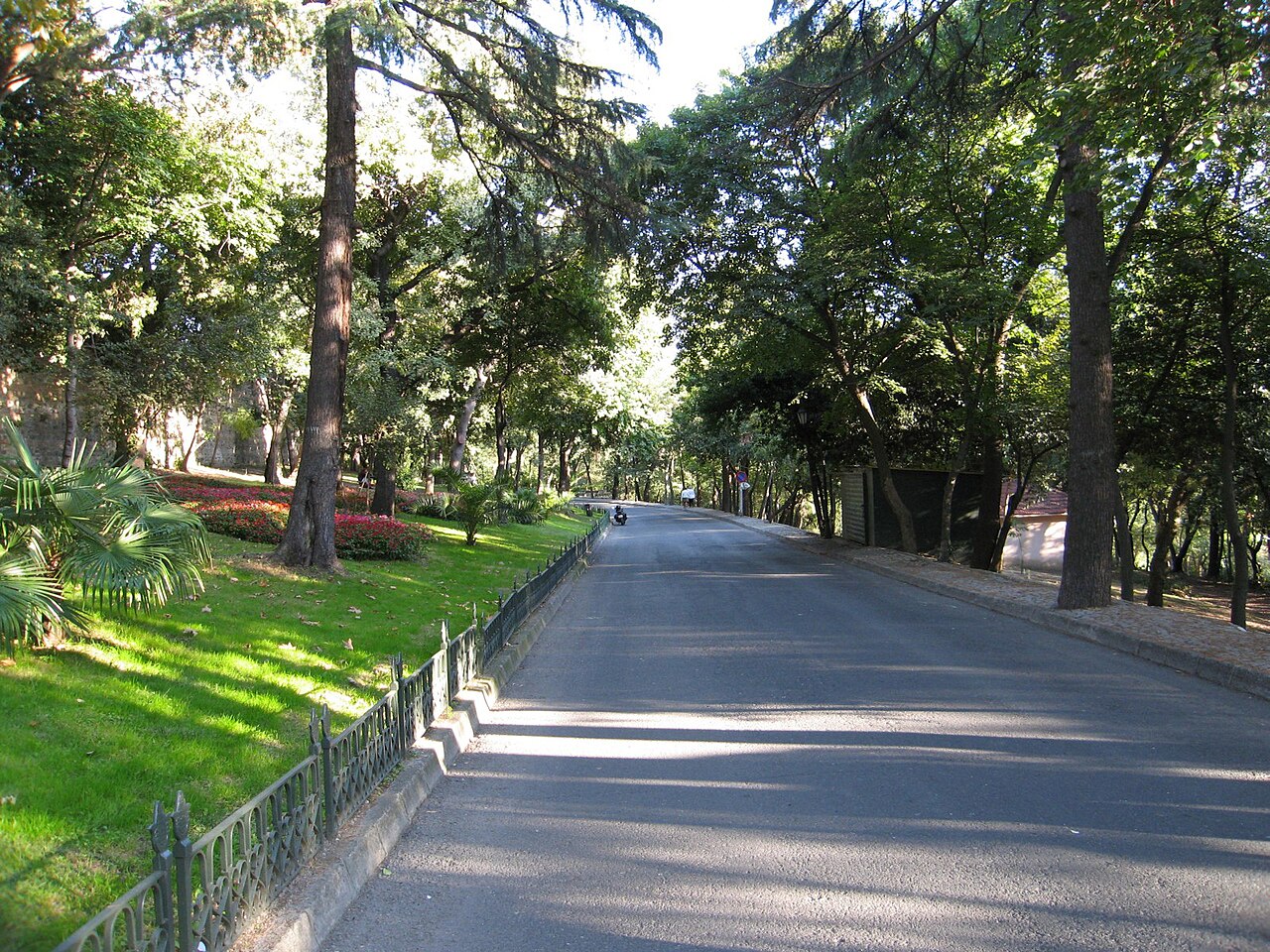 Yıldız Park の写真