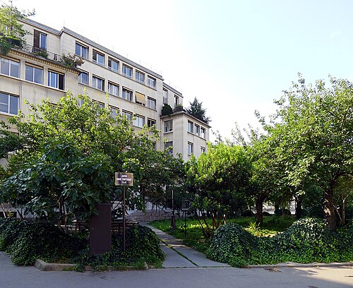 Square Marie Trintignant