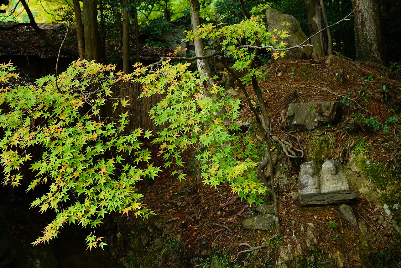 Una fotografia di Jingo-ji Temple