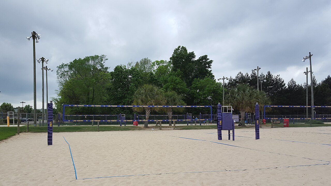 Mango's fotoğrafı