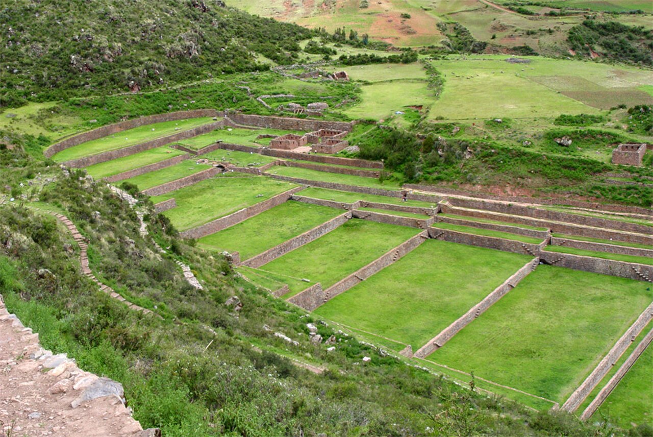 Tipón