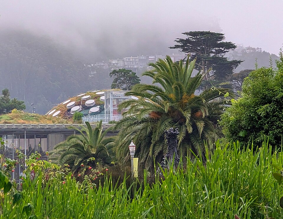 A photograph of California Academy of Sciences building
