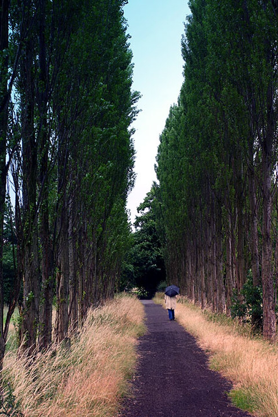 A photograph of Fletcher Moss Botanical Garden