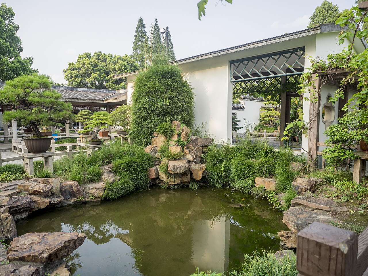 Shanghai Botanical Garden fotoğrafı