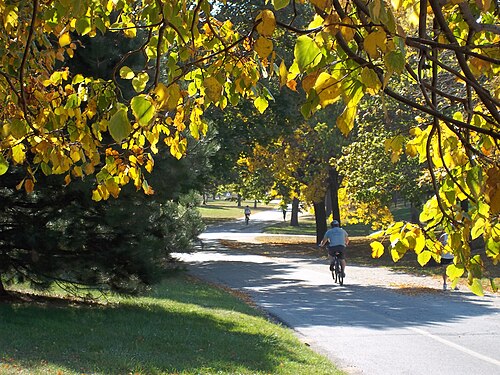 Chicago Lakefront Trail