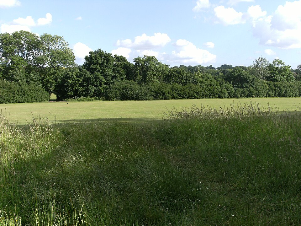 A photograph of Hampstead Heath