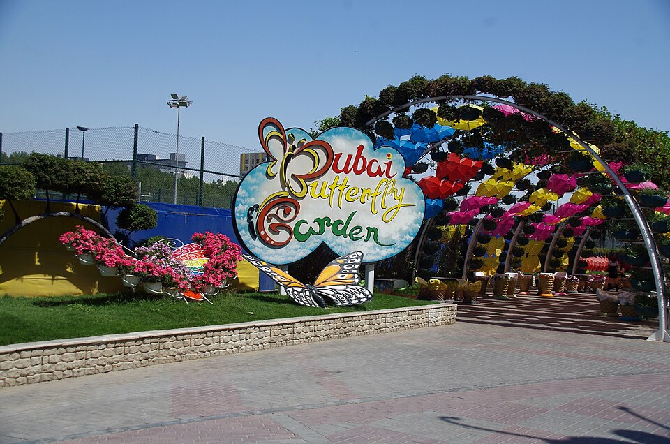 A photograph of Dubai Butterfly Garden