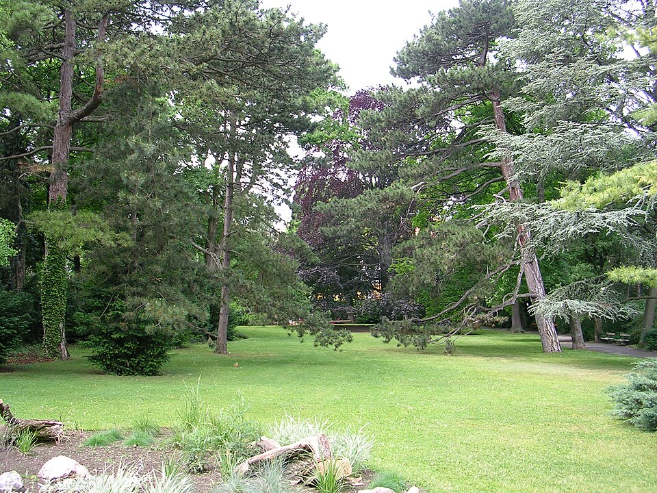 A photograph of Wertheimsteinpark