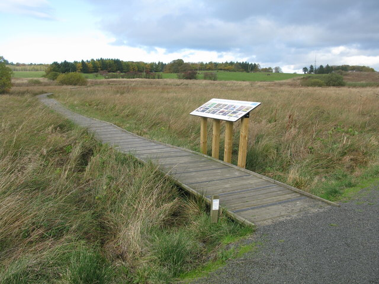 Cathkin Braes の写真