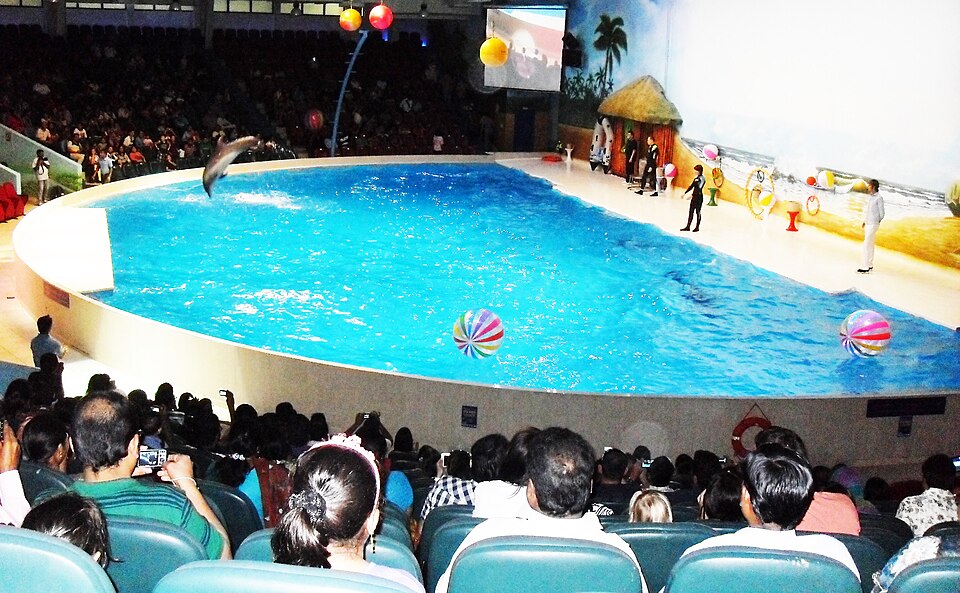 A photograph of Dubai Dolphinarium