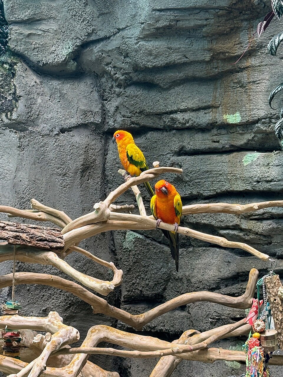 A photograph of Orlando Science Center