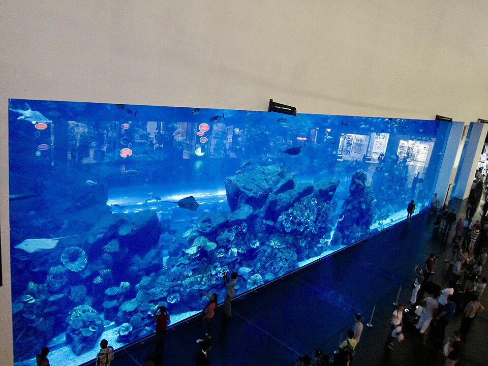A photograph of Dubai Aquarium and Underwater Zoo