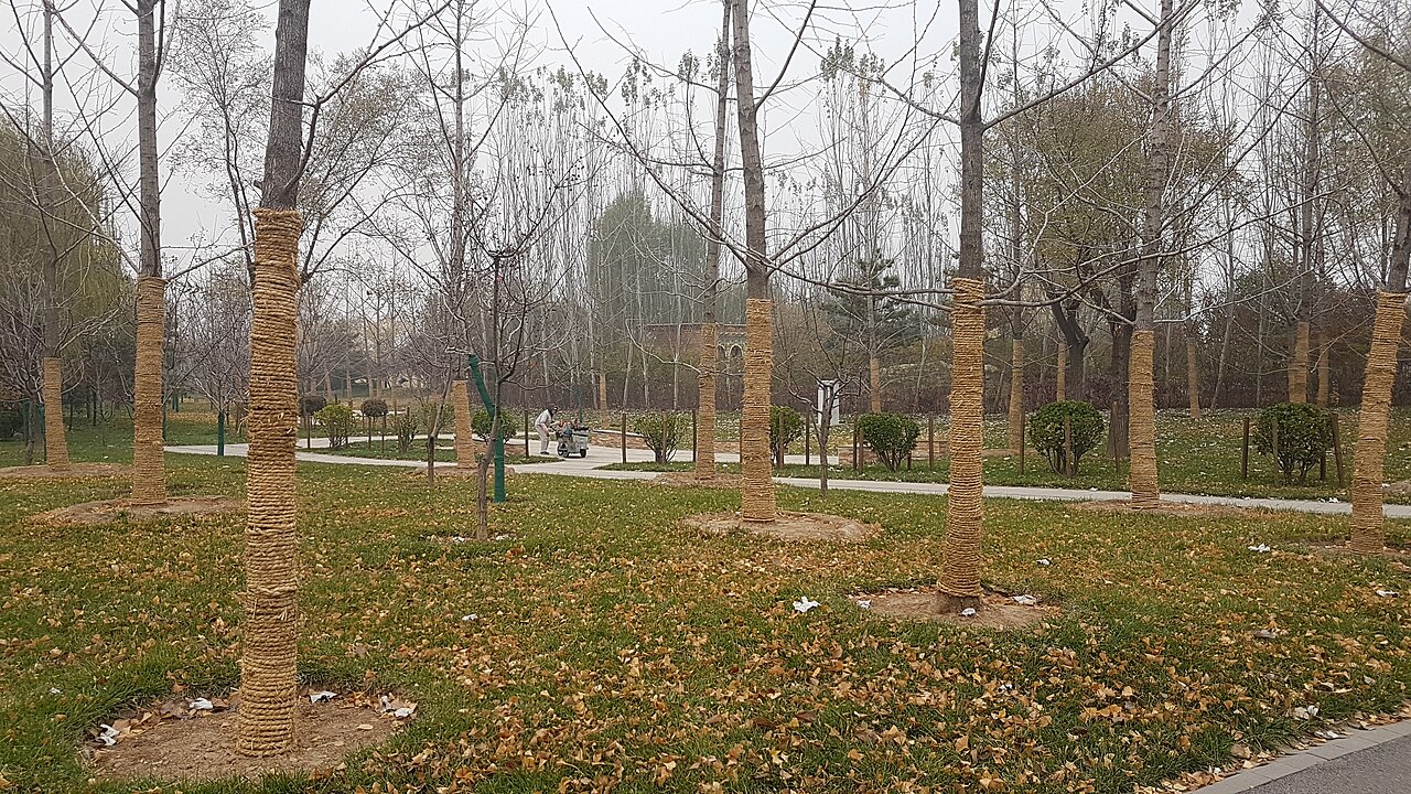 Beijing Garden Expo Park fotoğrafı