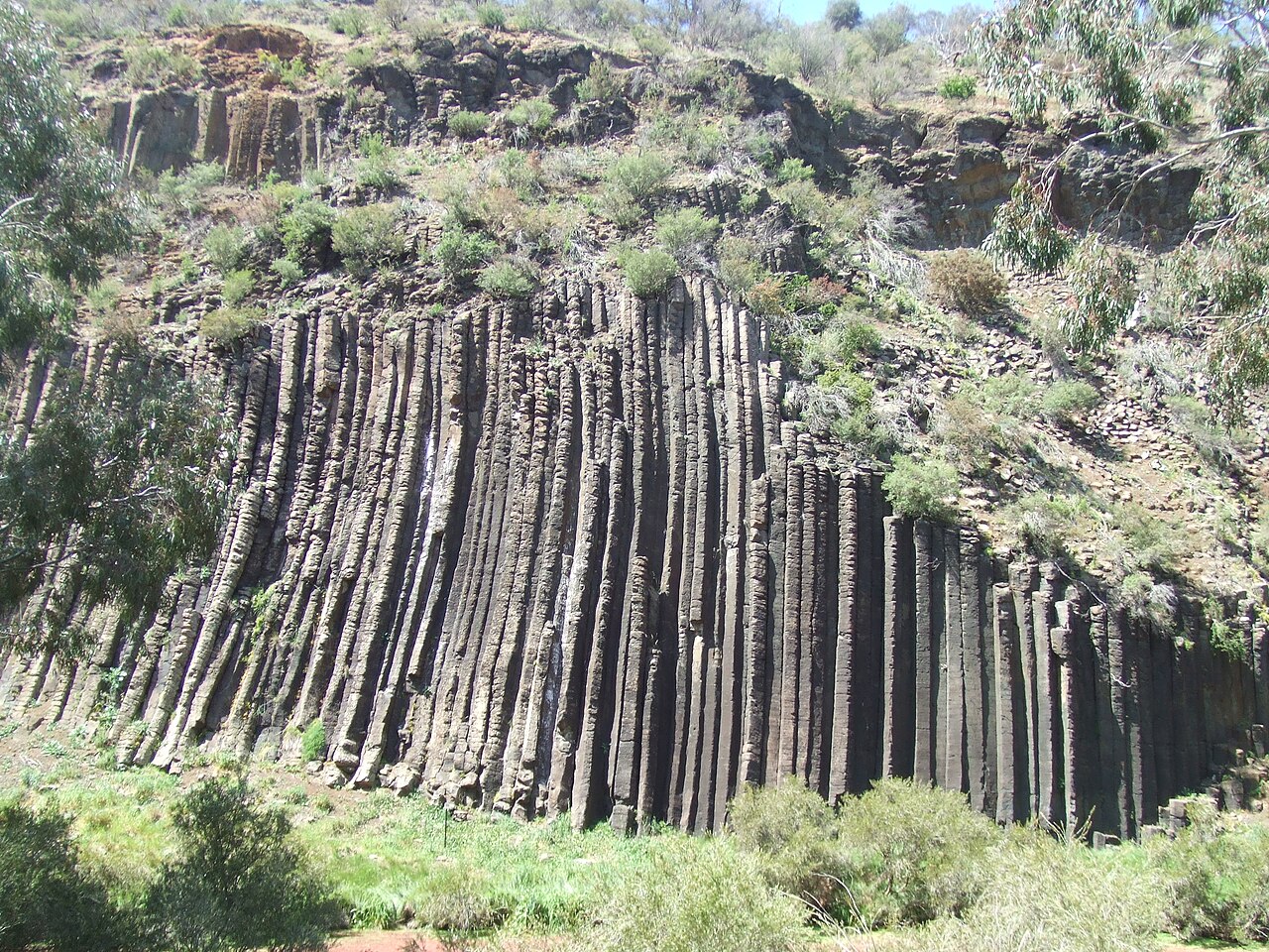 Ein Foto von Organ Pipes National Park