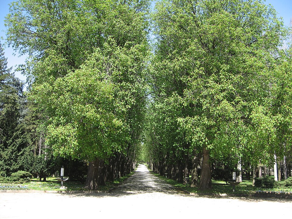A photograph of Dedinje Royal Compound