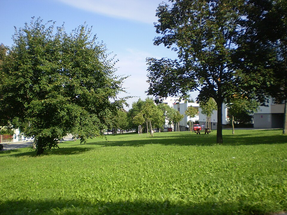 Steinberg fotoğrafı
