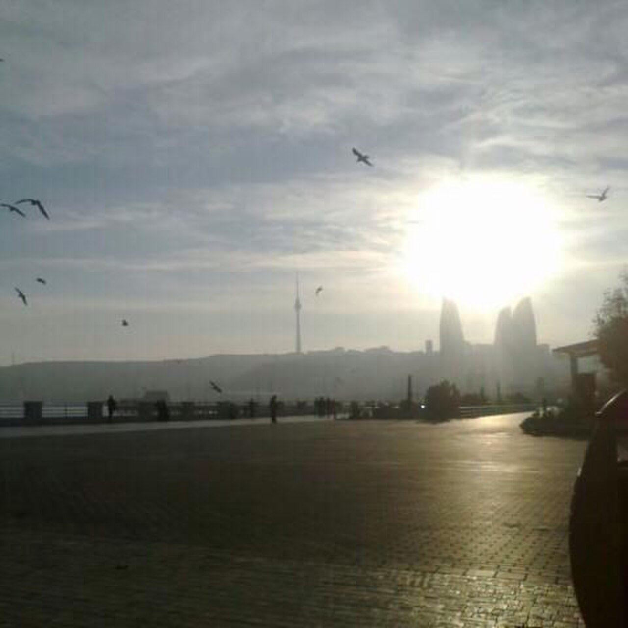صورة Flame Towers