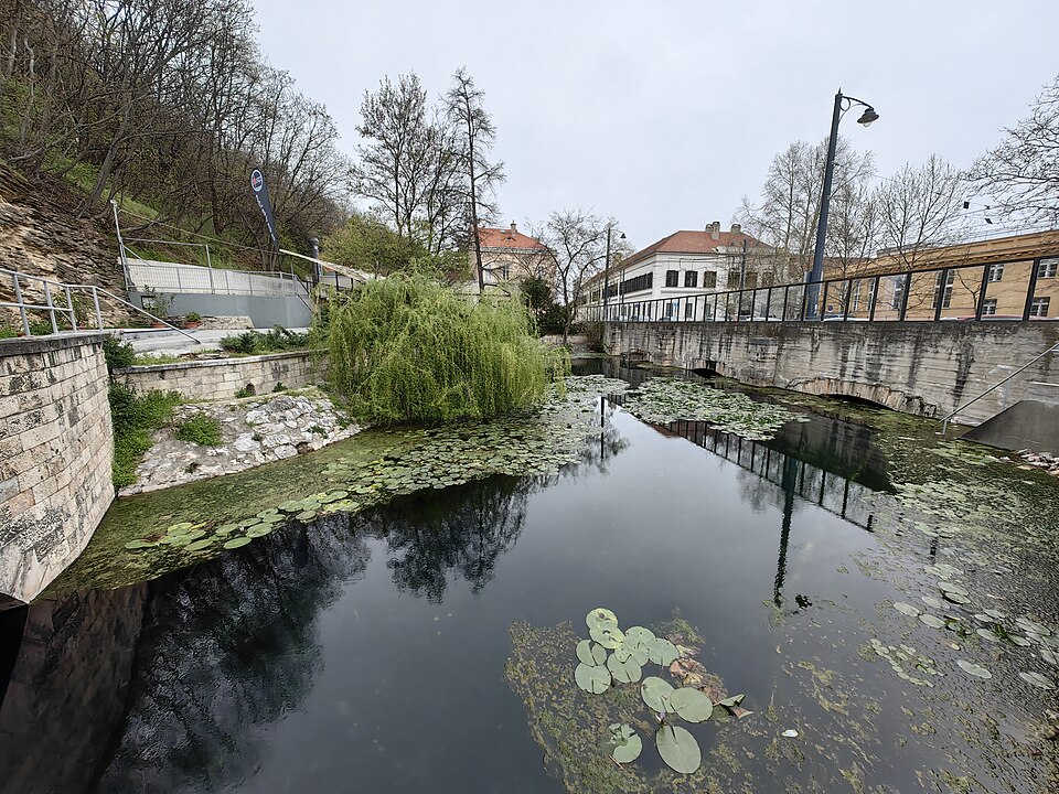 A photograph of Molnár János