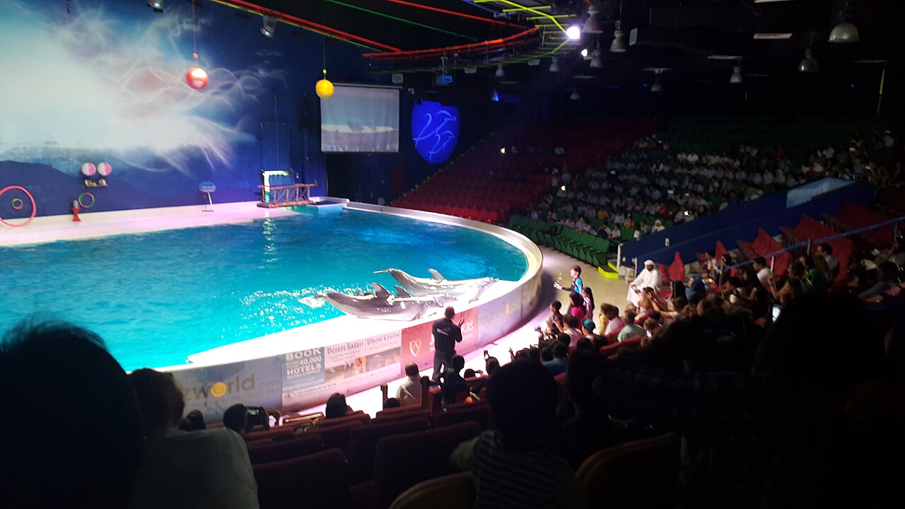 Dubai Dolphinarium의 사진