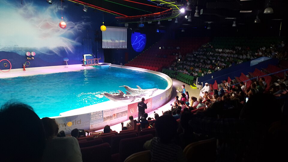 A photograph of Dubai Dolphinarium