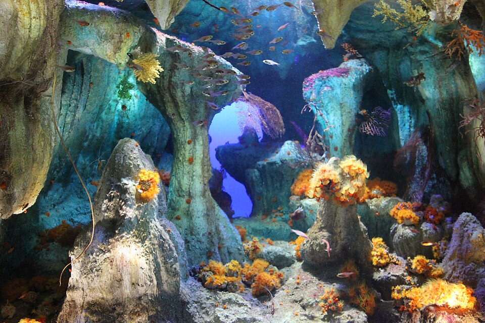 A photograph of Sunshine Aquarium