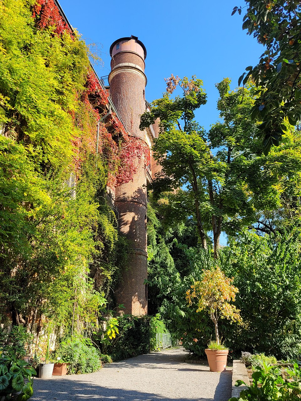 A photograph of Orto Botanico di Brera