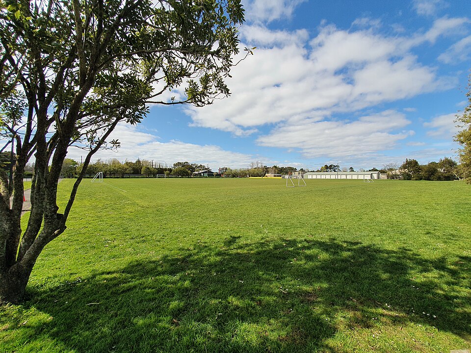 A photograph of Taylor Park