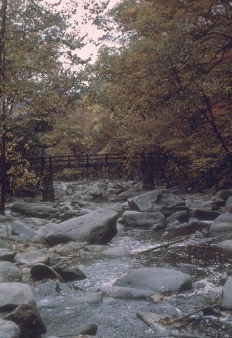 A photograph of Rock Creek Park