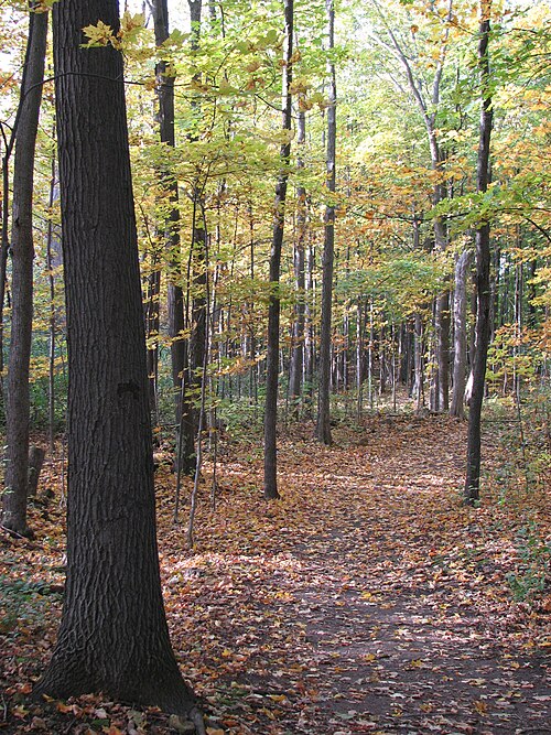 Cap-Saint-Jacques Nature Park