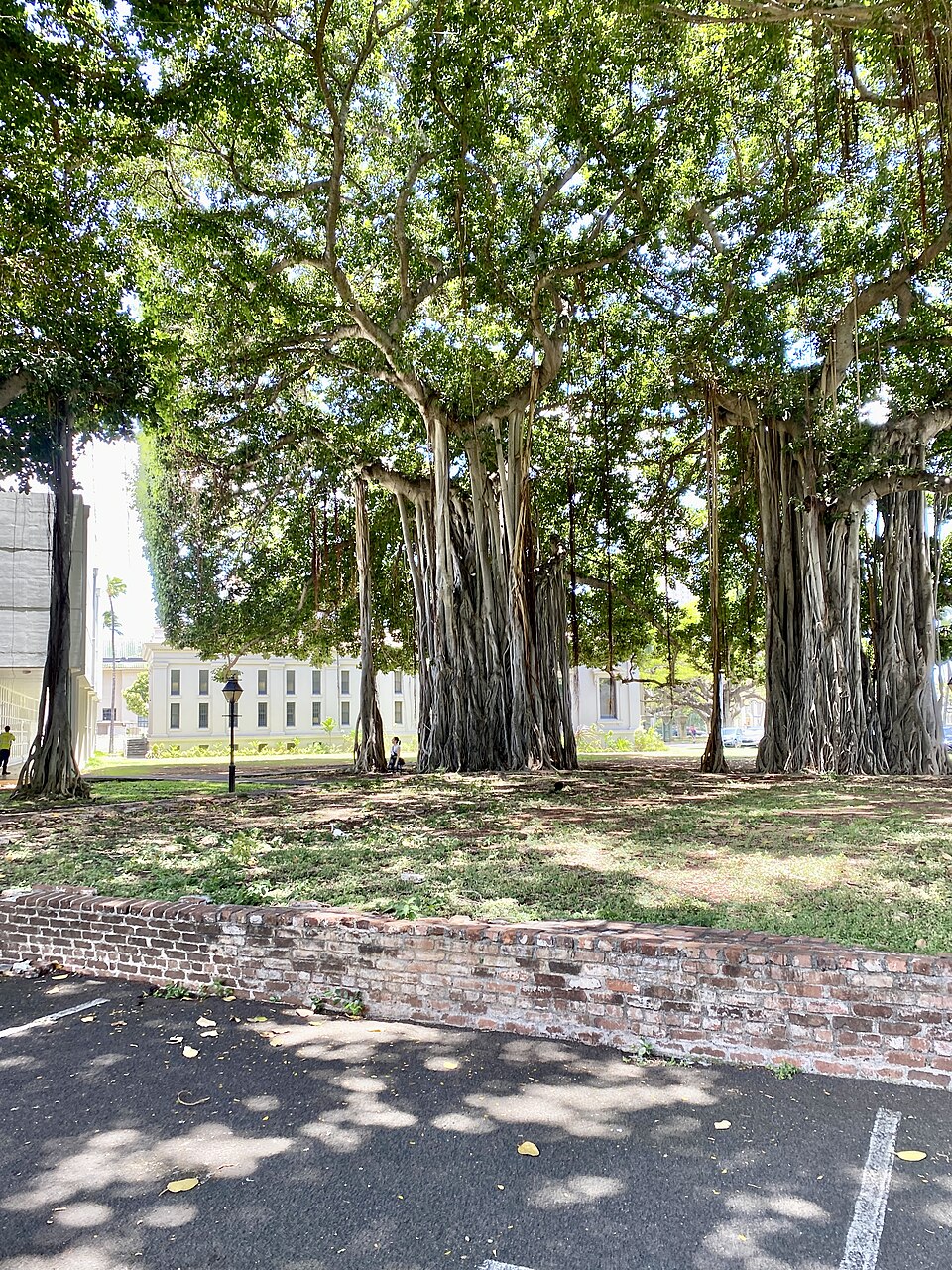 A photograph of ʻIolani Palace
