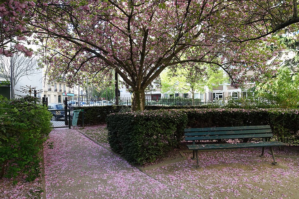 A photograph of jardin Bargue-Platon
