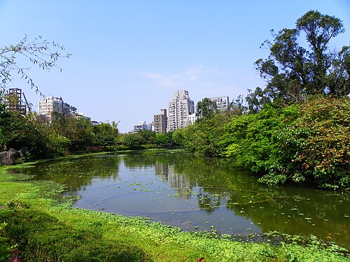 大安森林公園