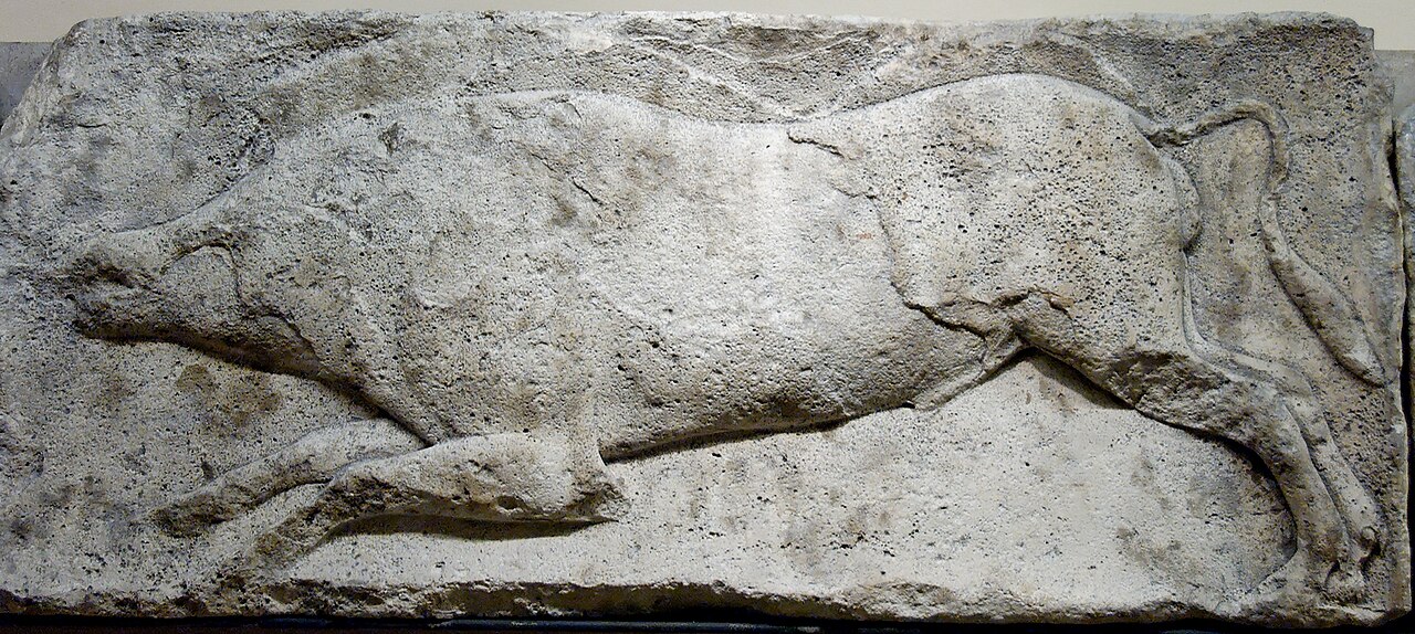 Ein Foto von Xanthos