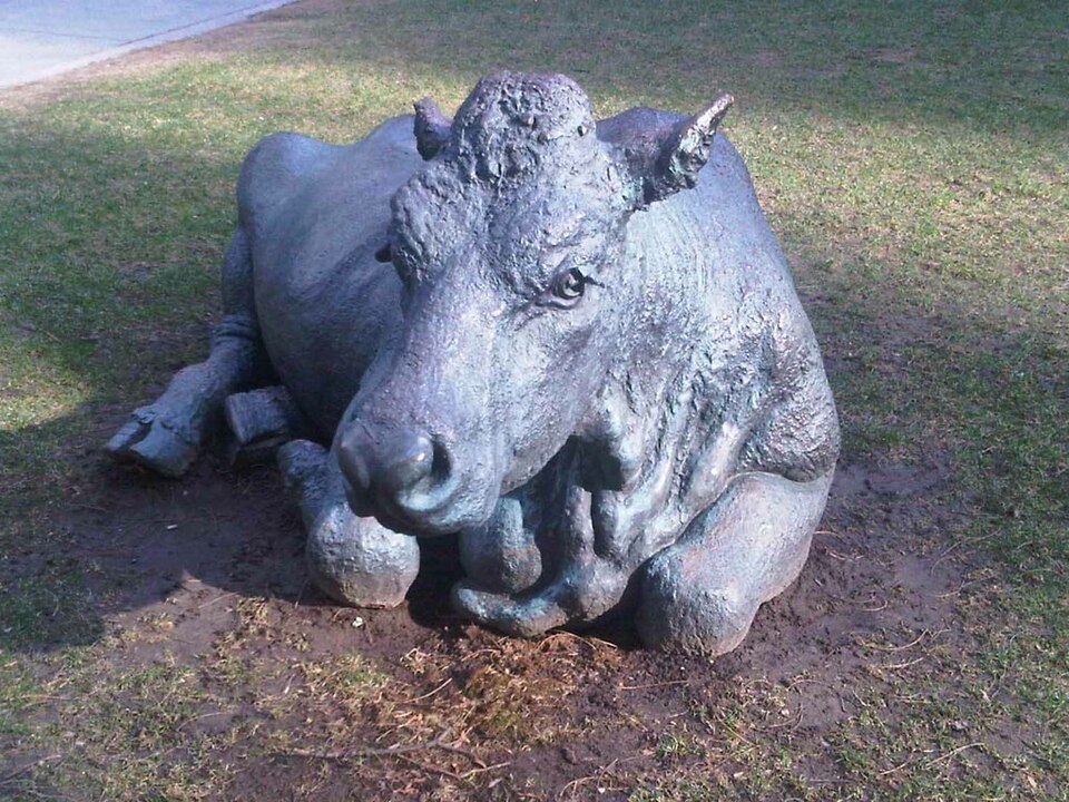 A photograph of The Pasture