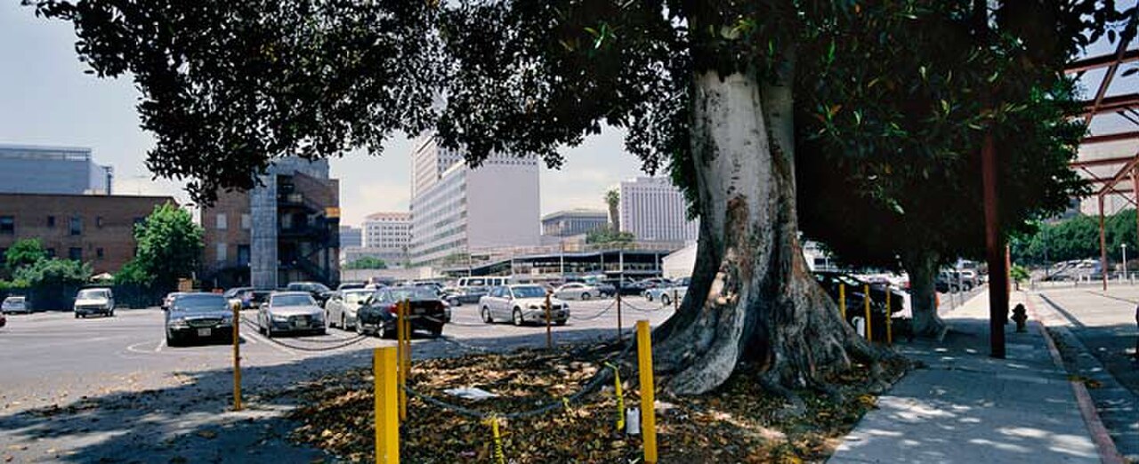 صورة Little Tokyo