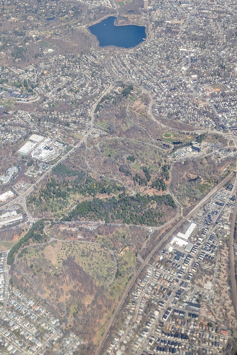 A photograph of Arnold Arboretum