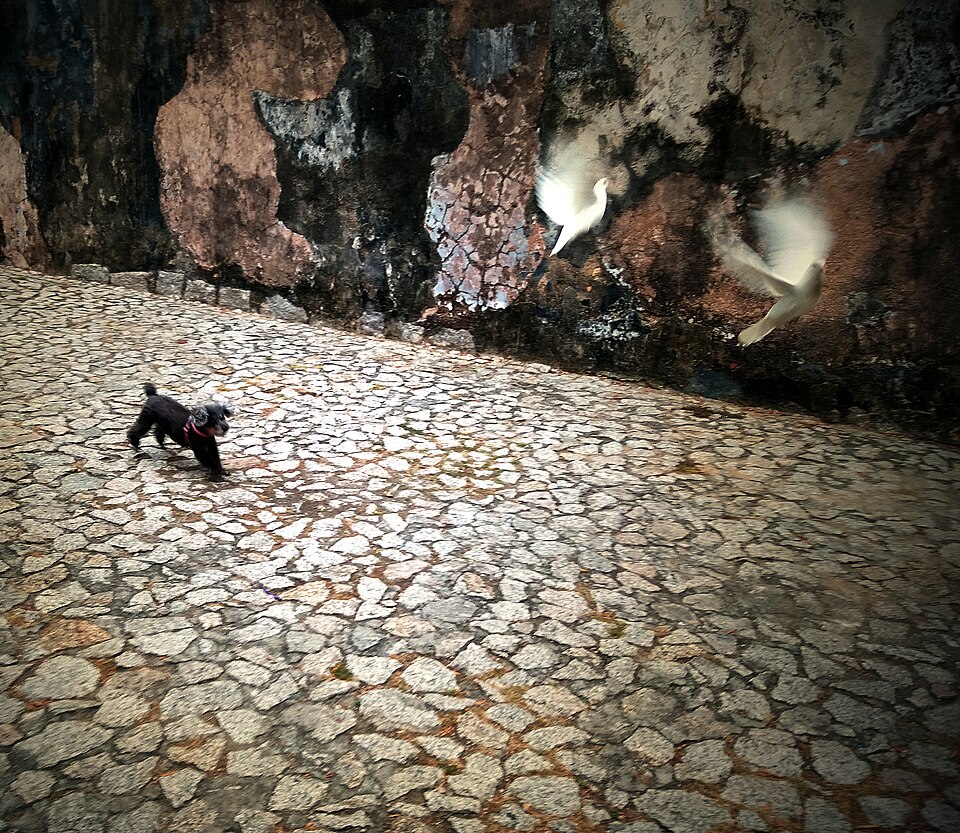 A photograph of Fortaleza do Monte