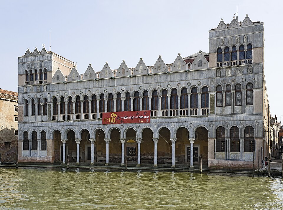 A photograph of Museo di Storia Naturale di Venezia